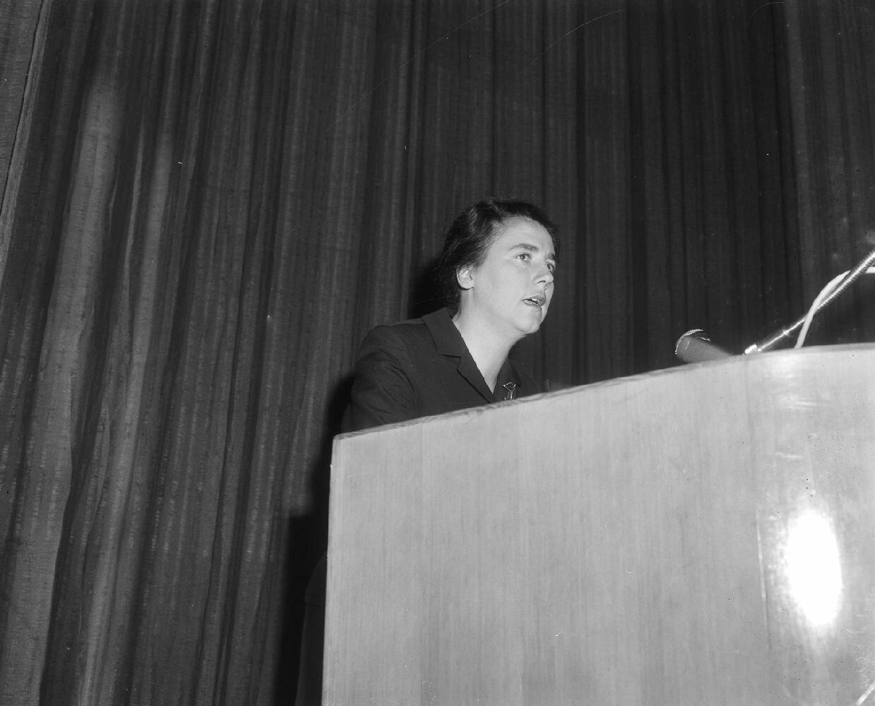 Mary Zeldenrust Noordanus